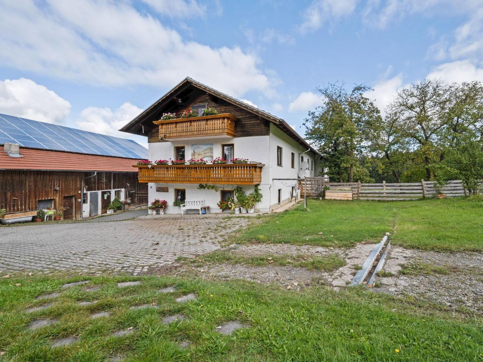 Flat On A Farm Near The Arber Ski Area Neukirchen beim Heiligen Blut Dış mekan fotoğraf