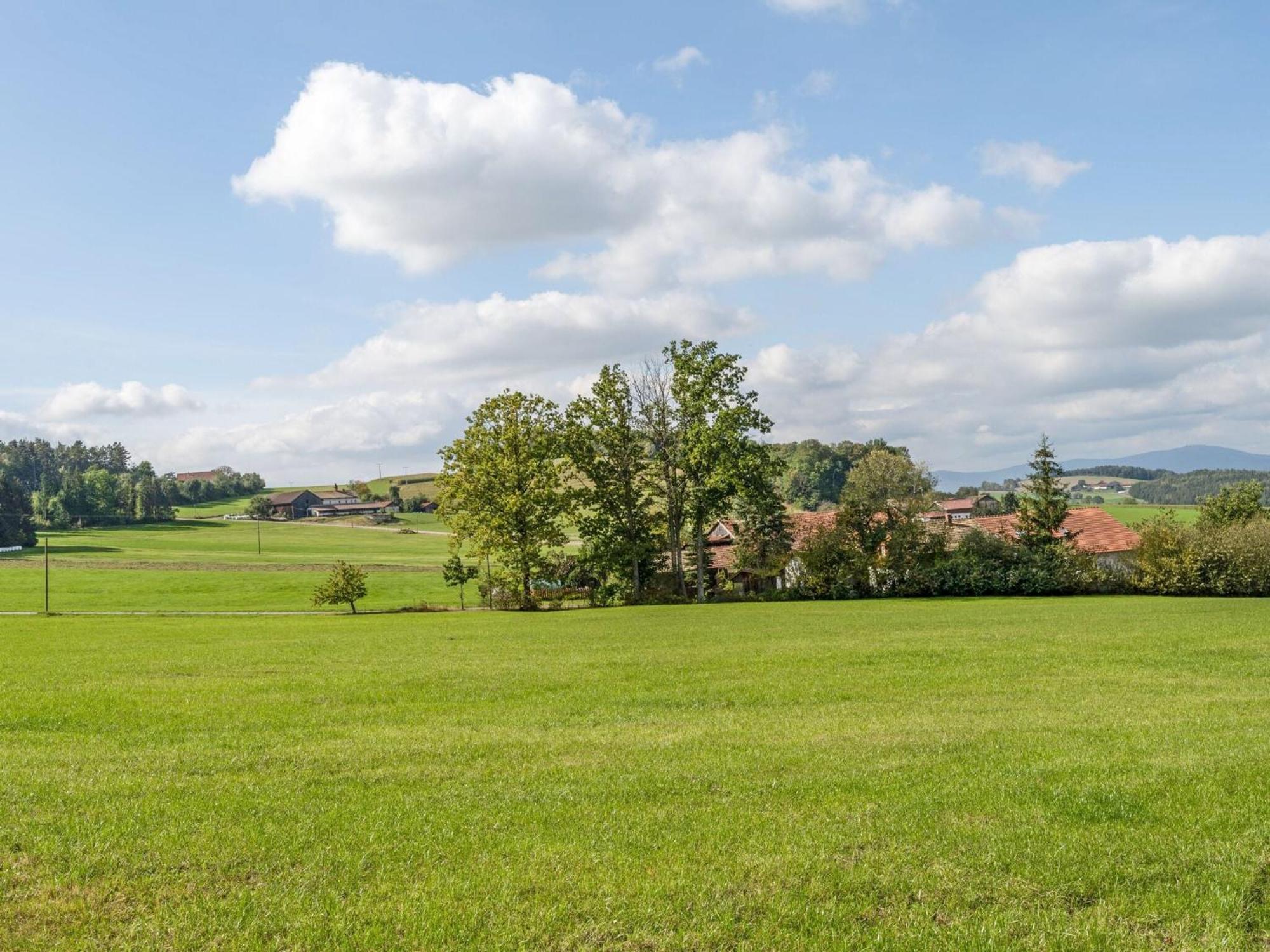 Flat On A Farm Near The Arber Ski Area Neukirchen beim Heiligen Blut Dış mekan fotoğraf